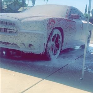 Meet your Posher, Benji